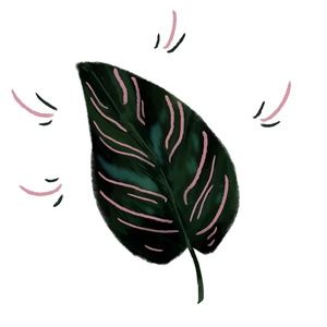 Meet your Posher, Marlene